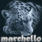 marchello